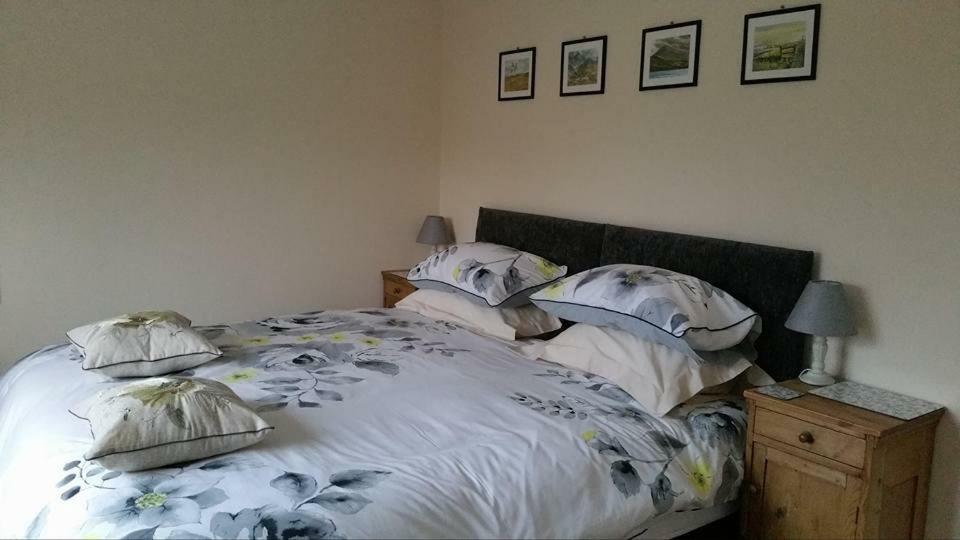 Bro Dafydd Bed & Breakfast Aberystwyth Exterior photo